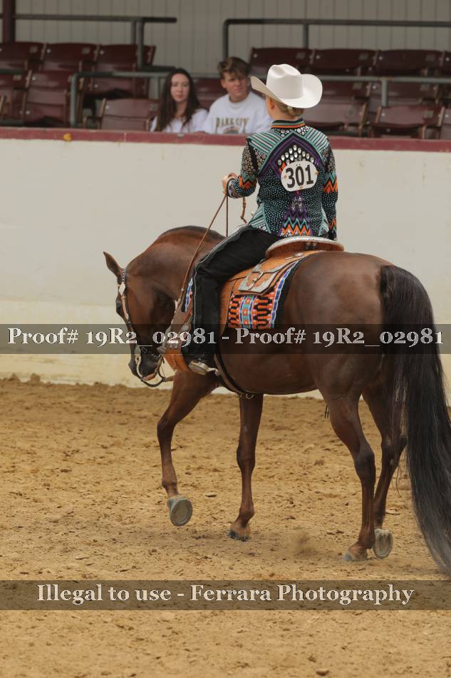 Proof 19R2_02981