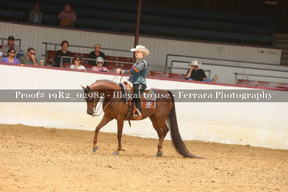 Proof 19R2_02982