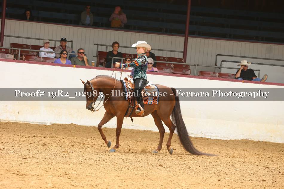 Proof 19R2_02983