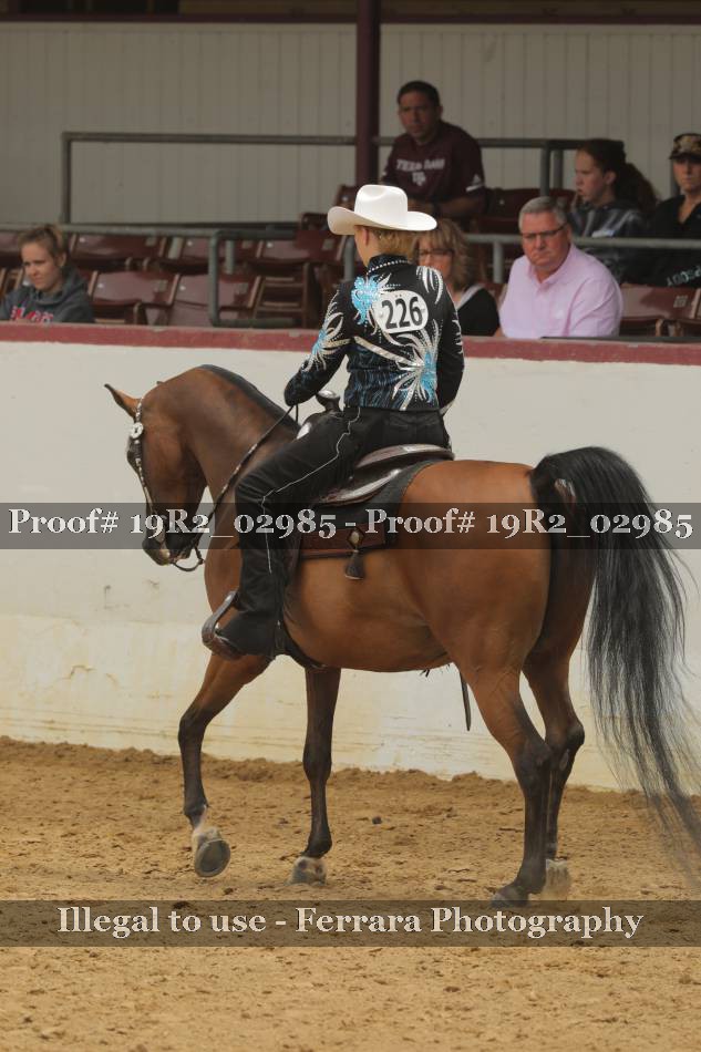 Proof 19R2_02985