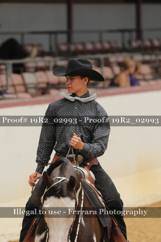 Proof 19R2_02993