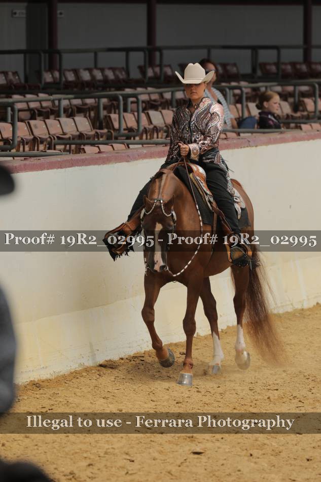 Proof 19R2_02995