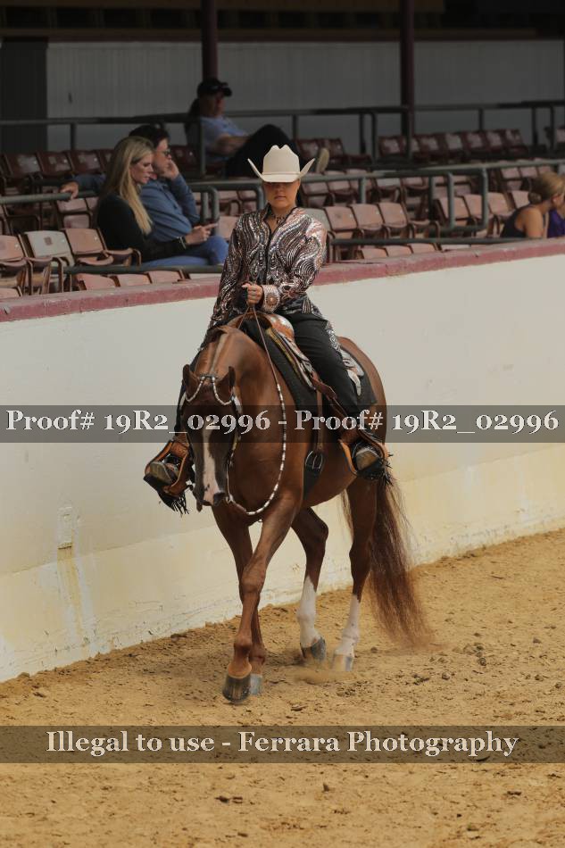 Proof 19R2_02996