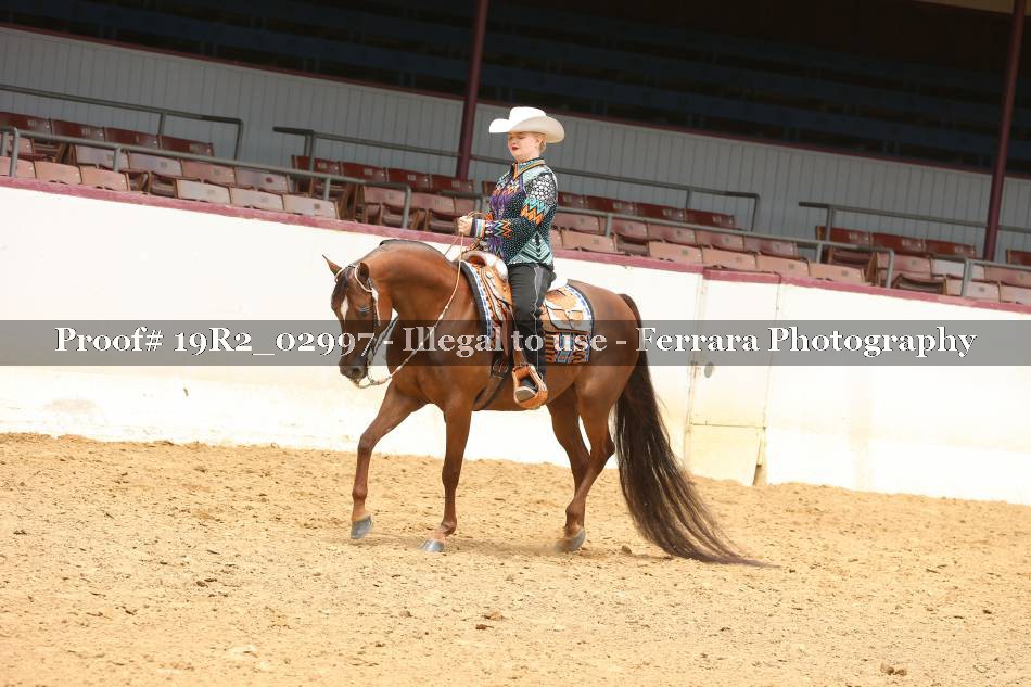 Proof 19R2_02997