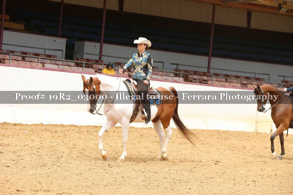 Proof 19R2_03000