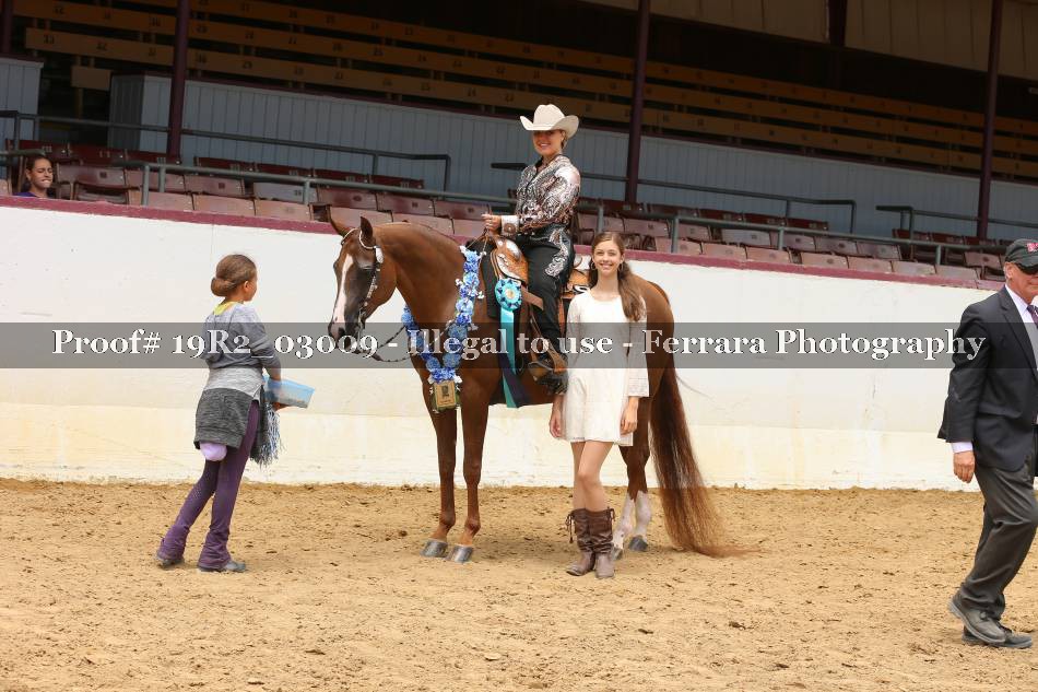 Proof 19R2_03009