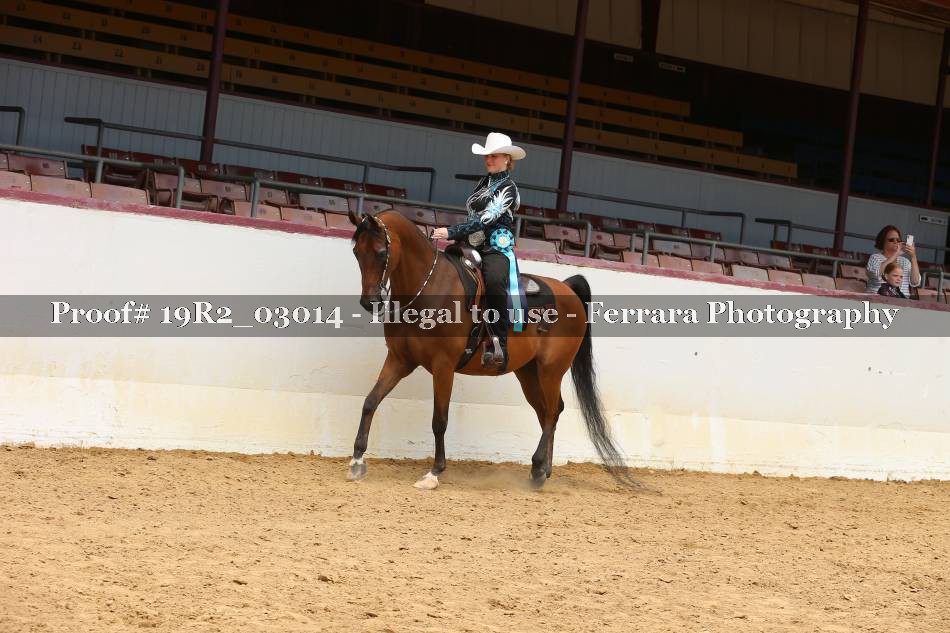 Proof 19R2_03014
