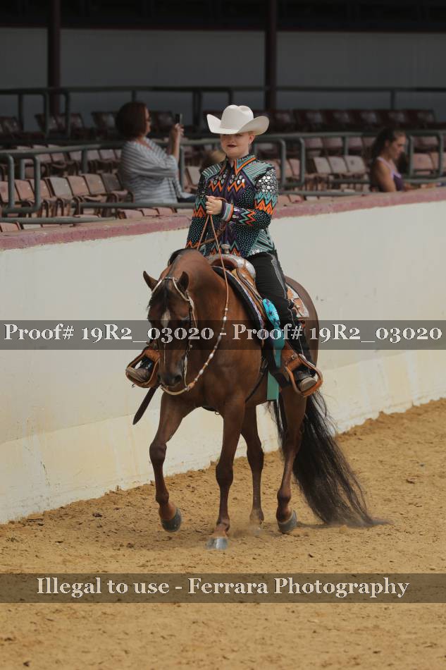 Proof 19R2_03020
