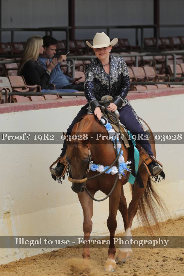 Proof 19R2_03028
