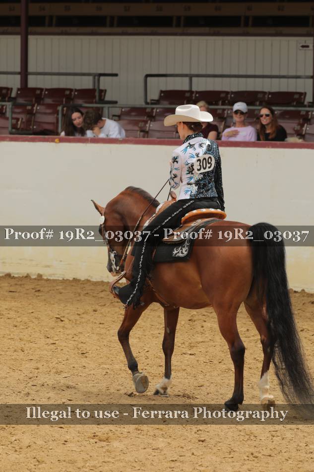 Proof 19R2_03037