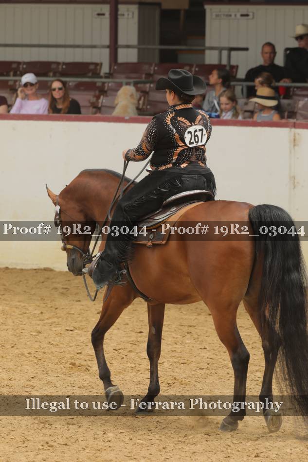 Proof 19R2_03044