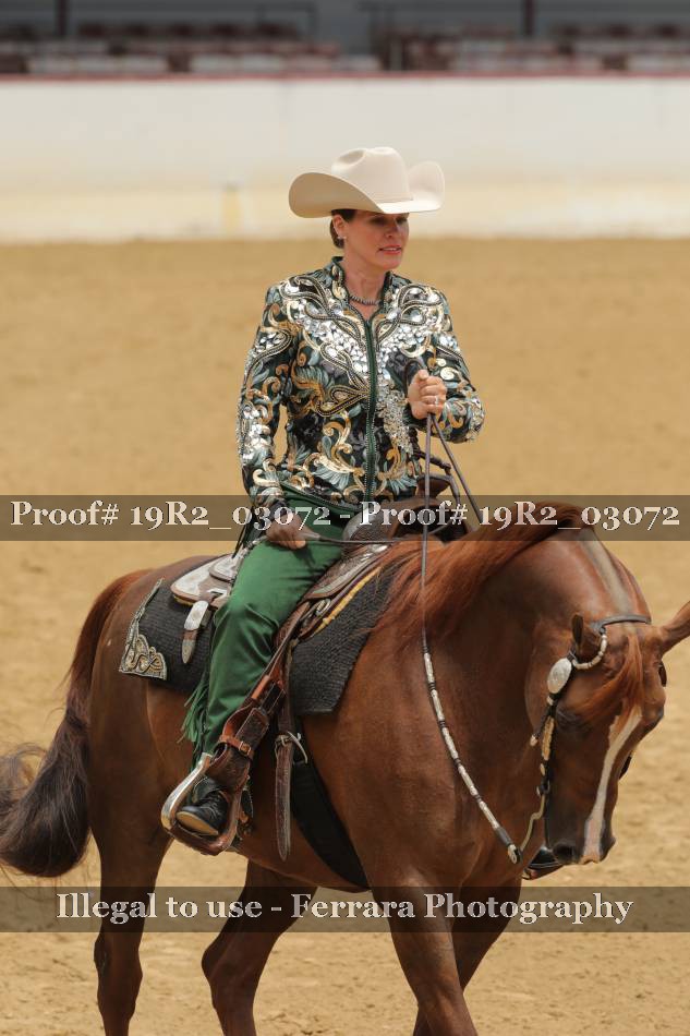Proof 19R2_03072