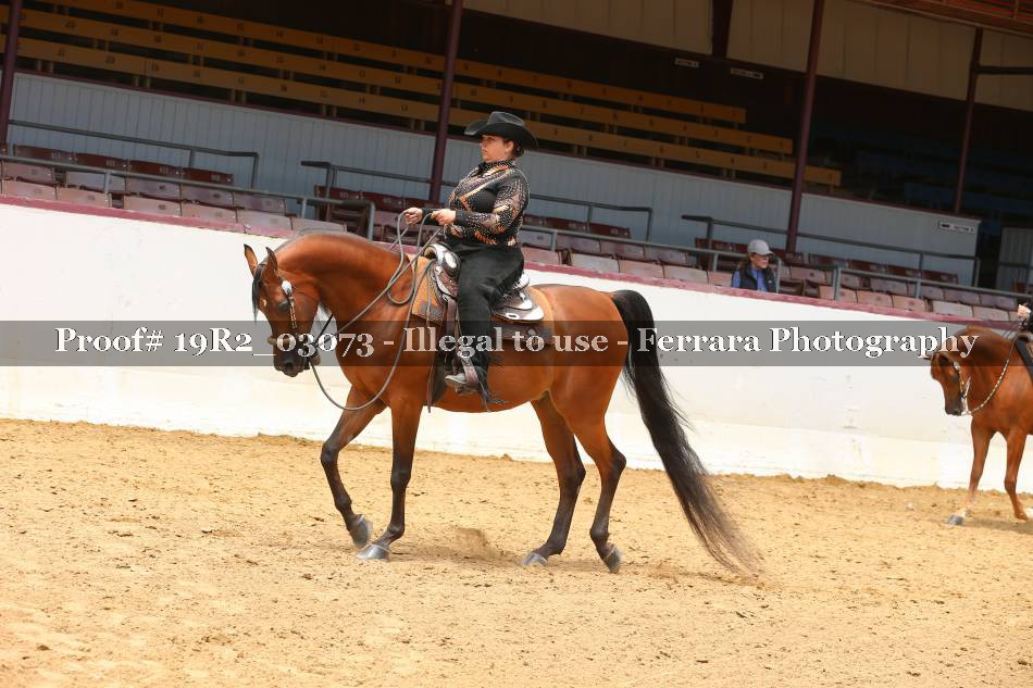 Proof 19R2_03073