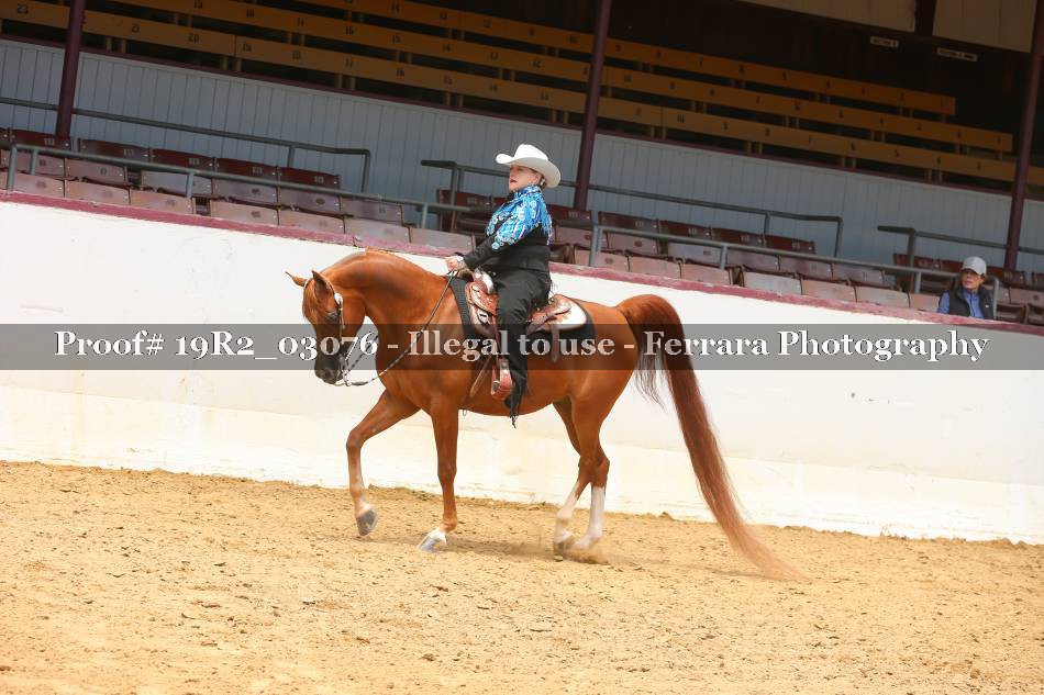 Proof 19R2_03076