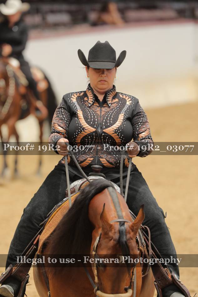Proof 19R2_03077