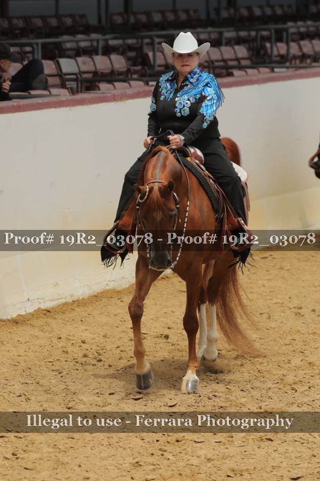 Proof 19R2_03078