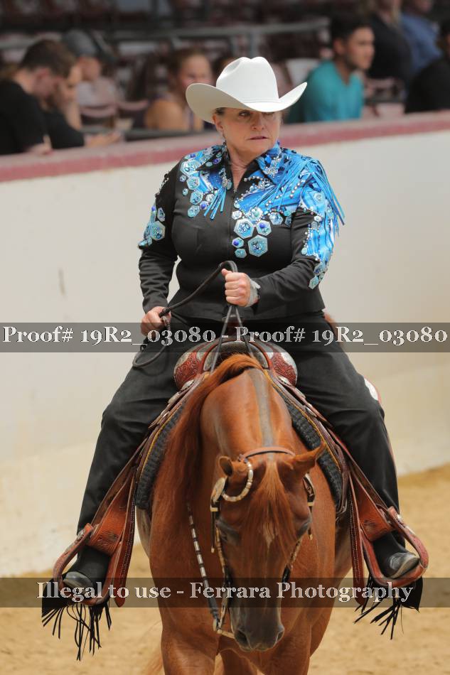 Proof 19R2_03080