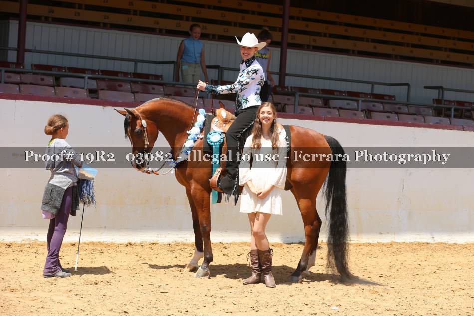 Proof 19R2_03082