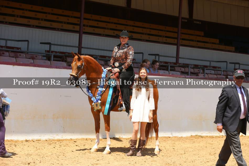 Proof 19R2_03085