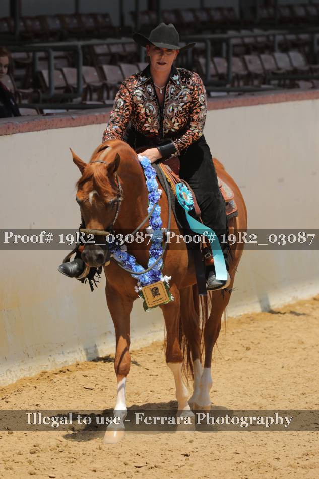 Proof 19R2_03087