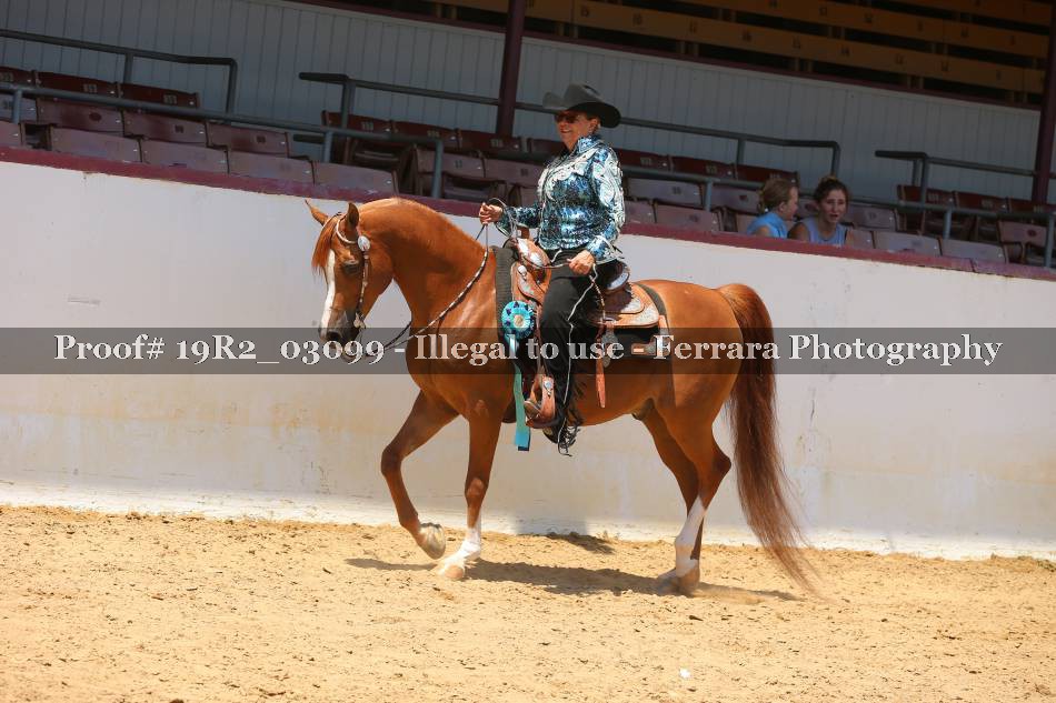 Proof 19R2_03099