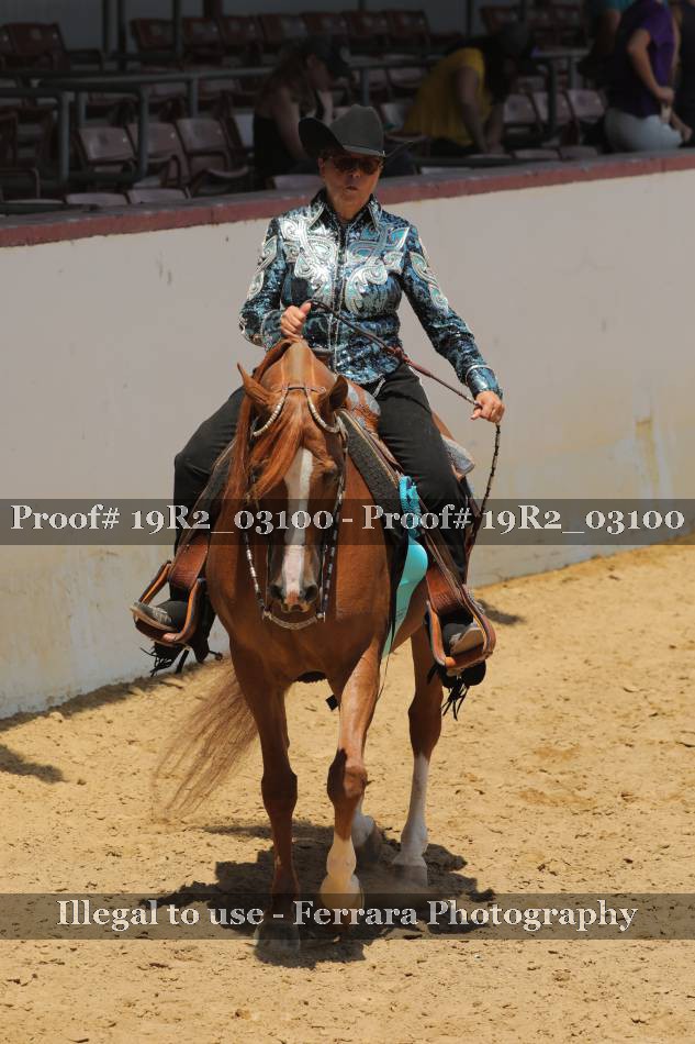 Proof 19R2_03100