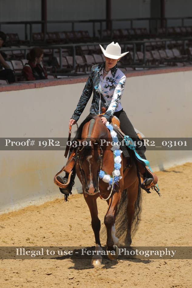 Proof 19R2_03101