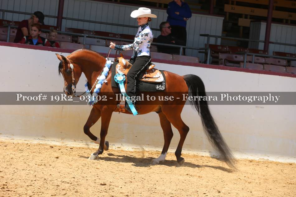 Proof 19R2_03102
