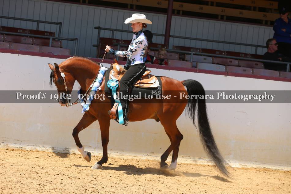 Proof 19R2_03103