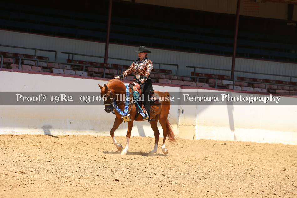 Proof 19R2_03106