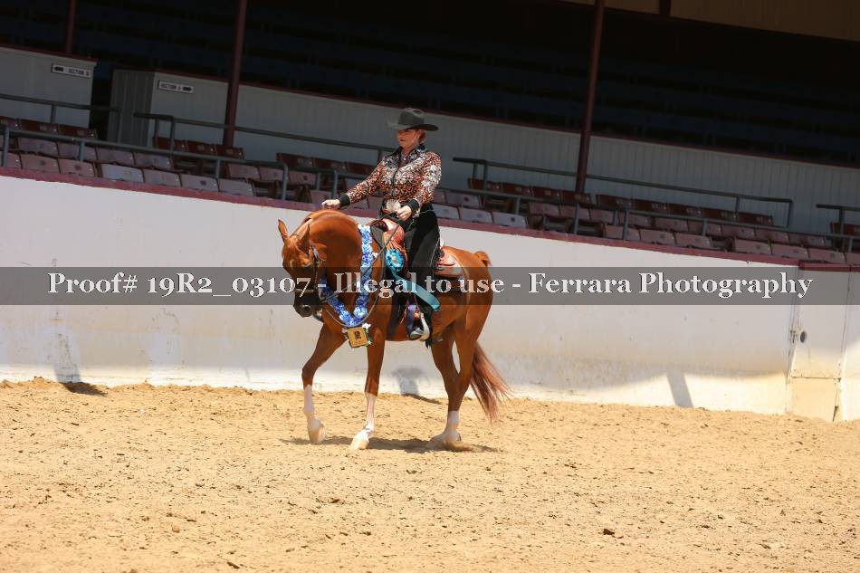 Proof 19R2_03107