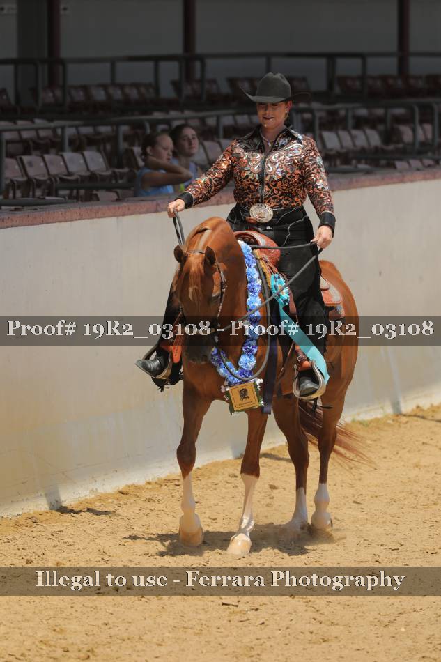 Proof 19R2_03108