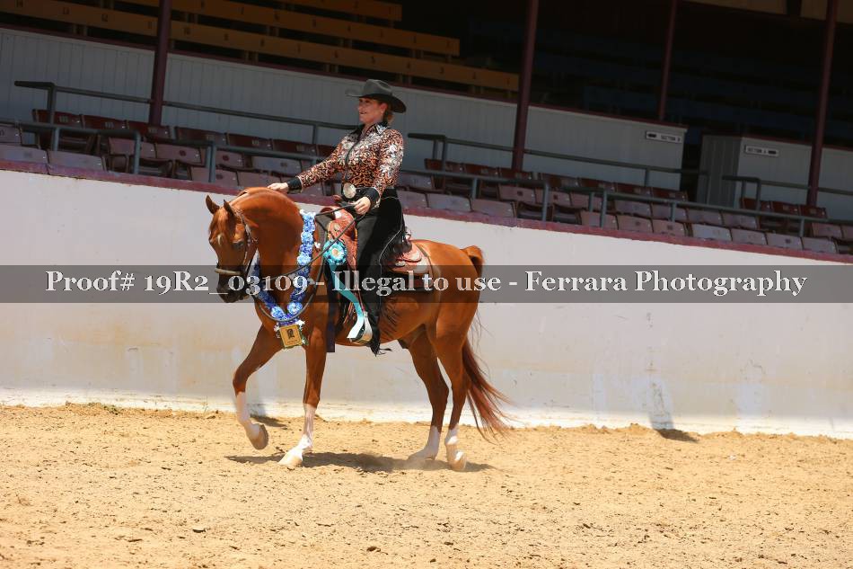 Proof 19R2_03109
