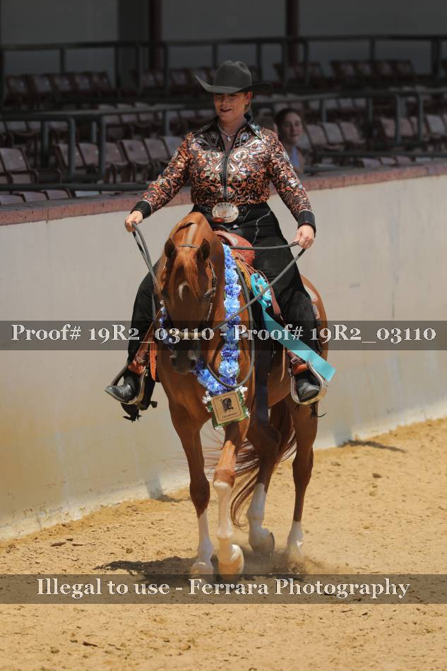 Proof 19R2_03110