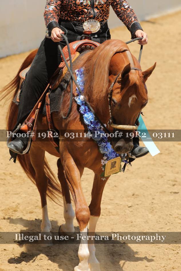 Proof 19R2_03111