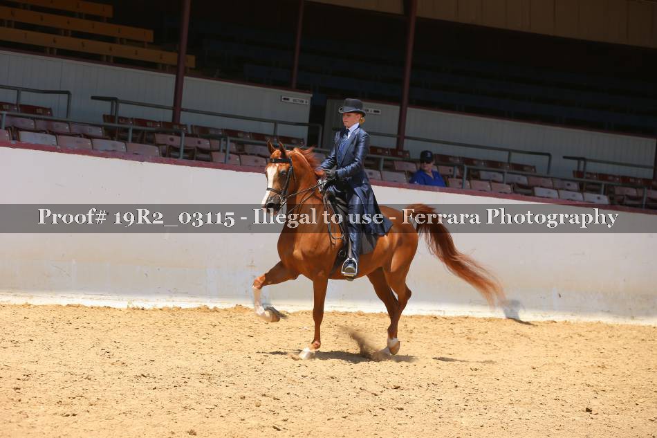 Proof 19R2_03115