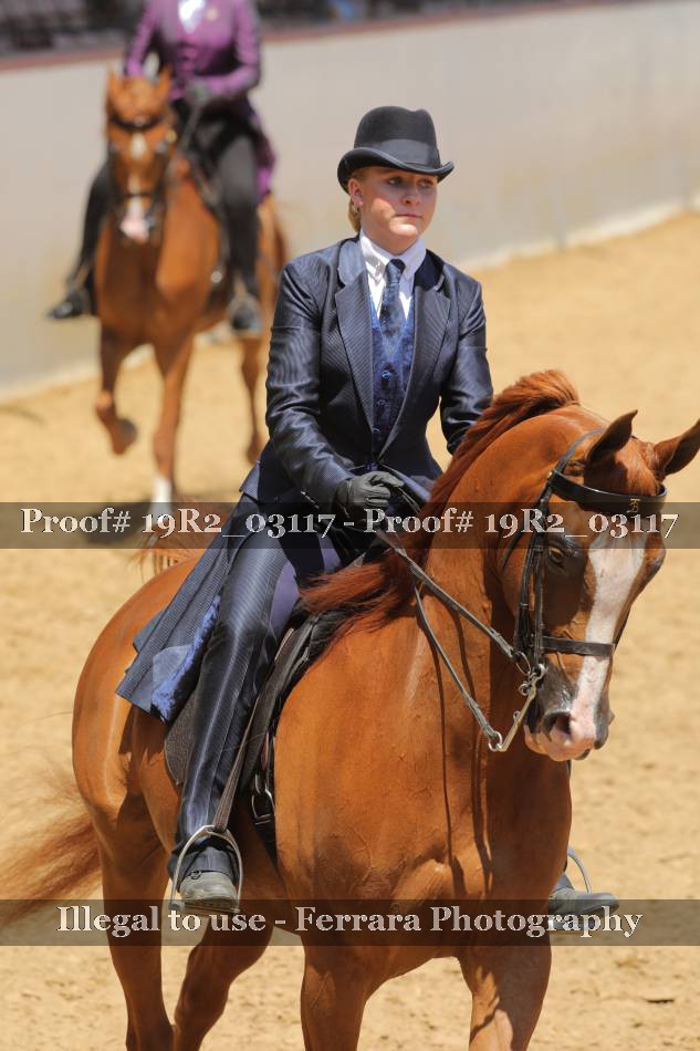 Proof 19R2_03117