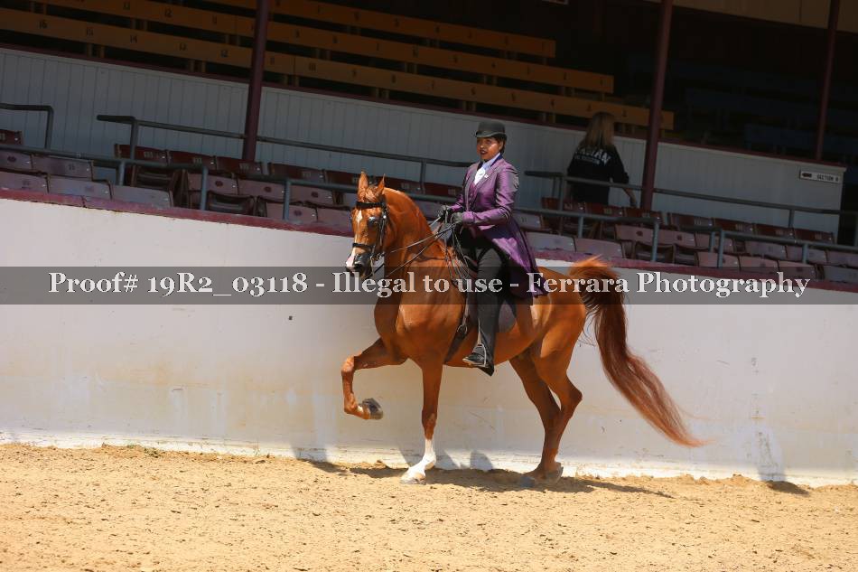 Proof 19R2_03118