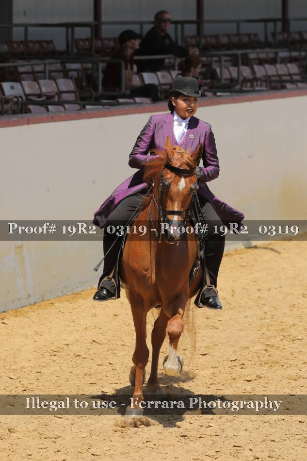 Proof 19R2_03119
