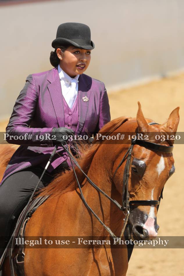 Proof 19R2_03120
