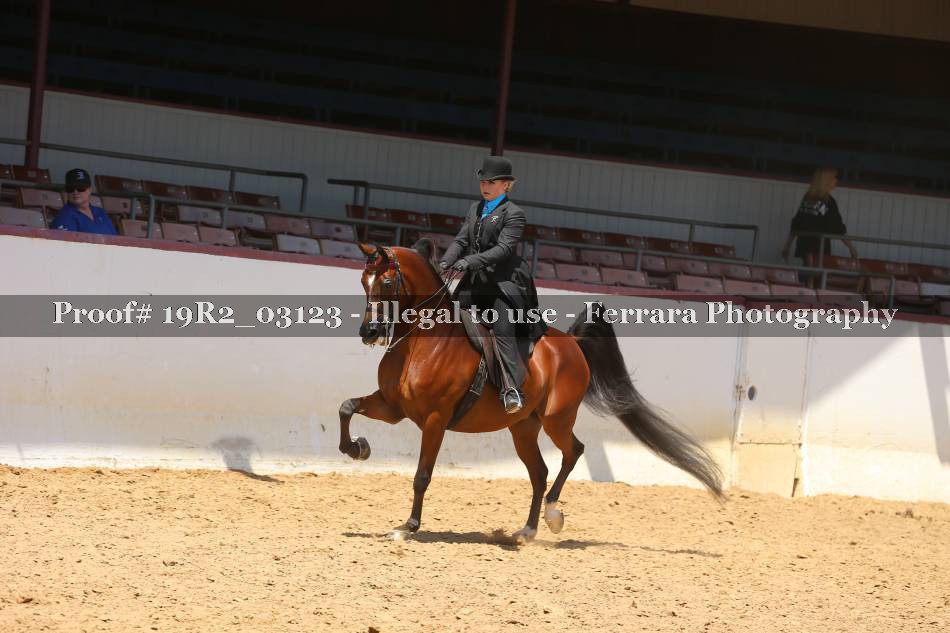 Proof 19R2_03123