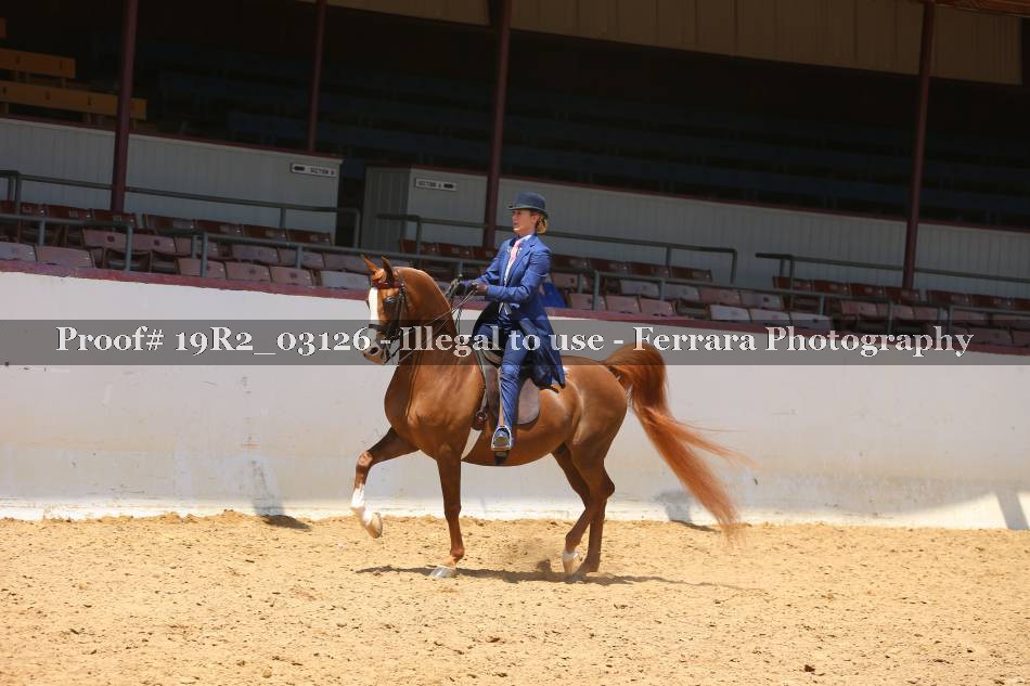 Proof 19R2_03126