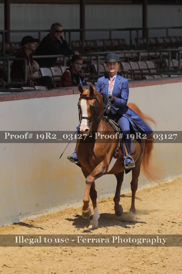 Proof 19R2_03127