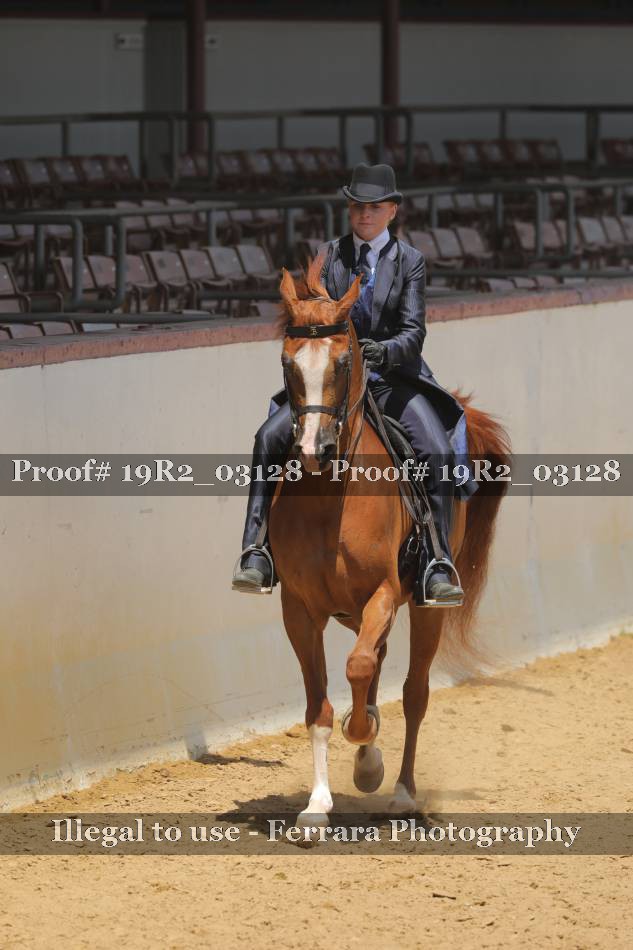 Proof 19R2_03128