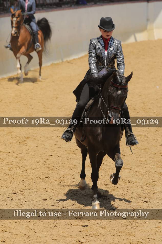 Proof 19R2_03129