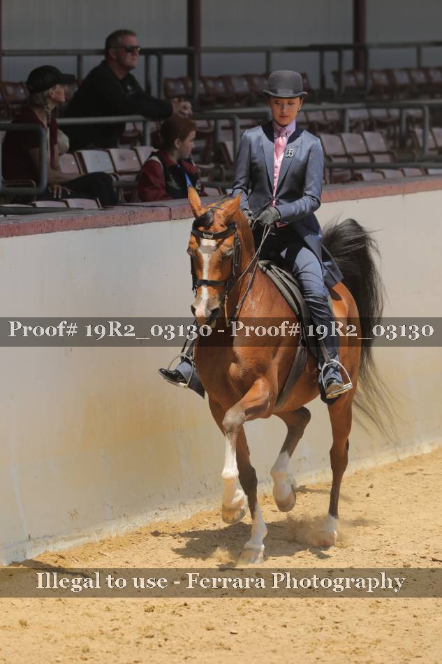 Proof 19R2_03130