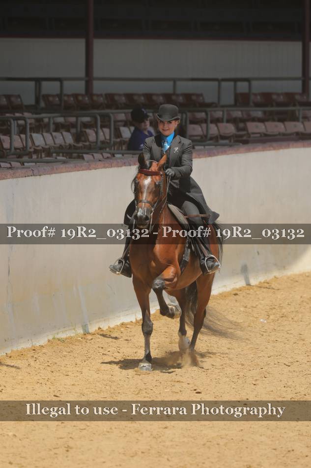 Proof 19R2_03132