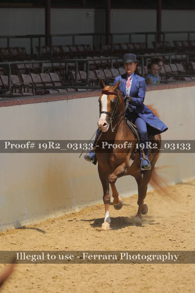 Proof 19R2_03133