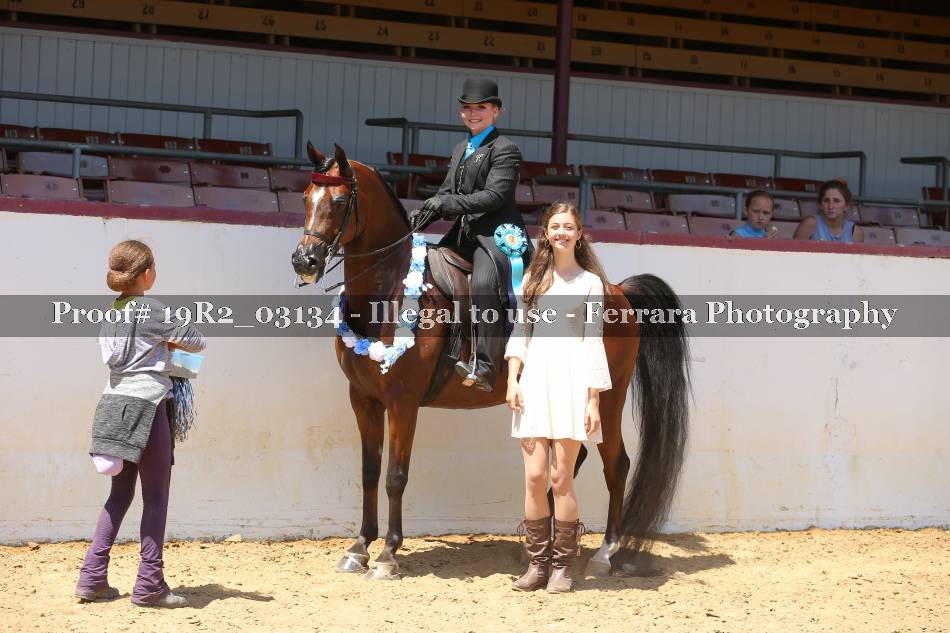 Proof 19R2_03134