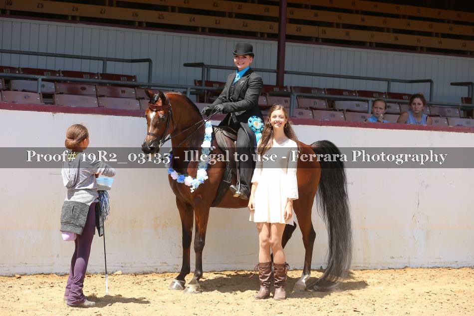 Proof 19R2_03135
